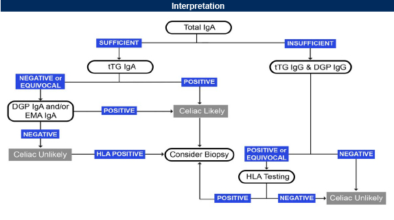 Celiac Profile Interpretation