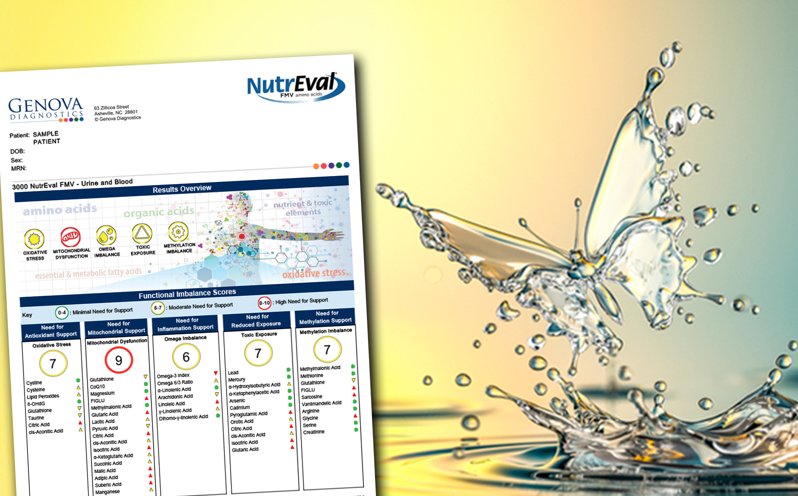 genova diagnostics nutreval fmv amino acids genova diagnostics nutreval fmv amino acids