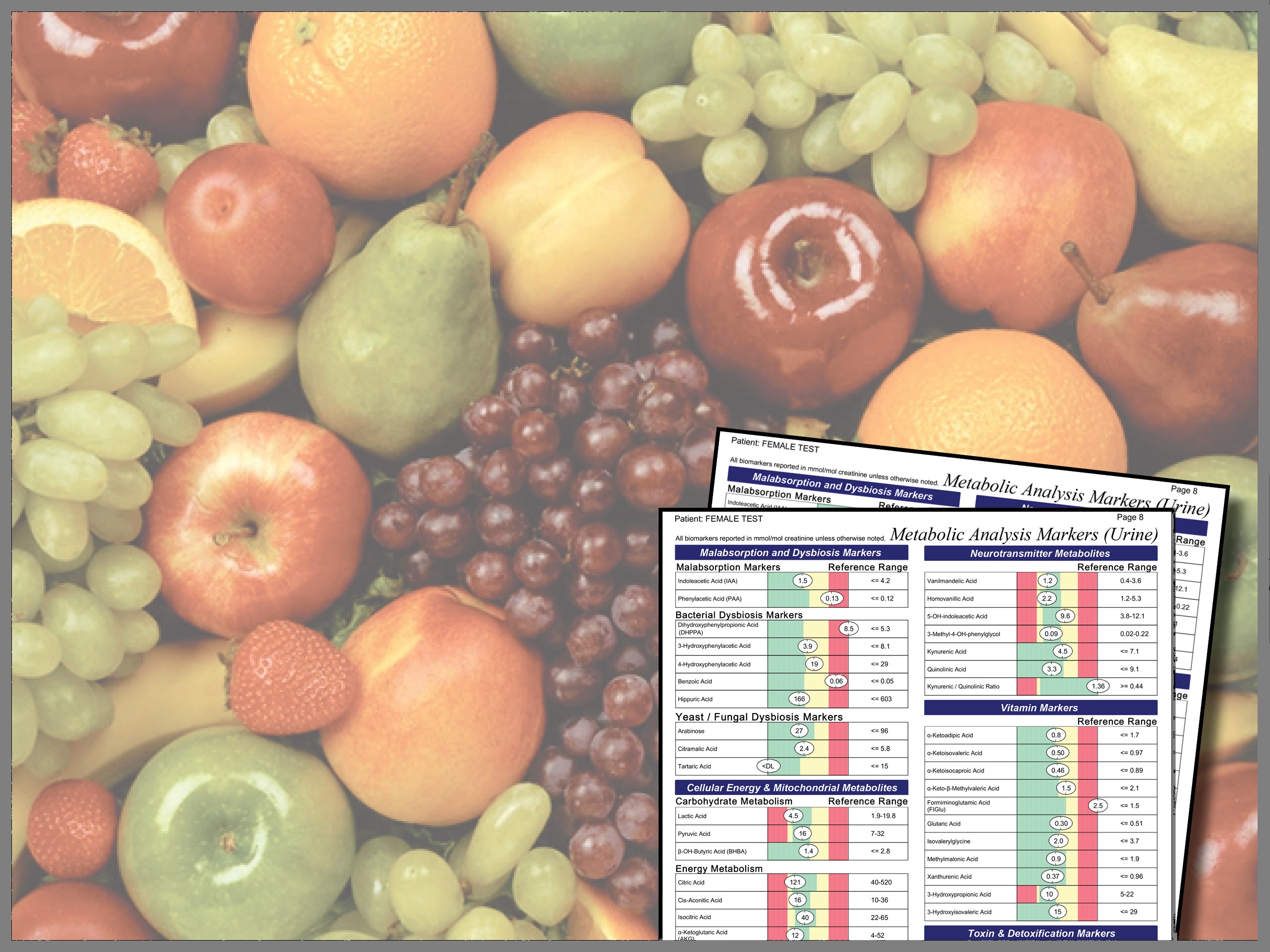 Nutritional Testing Overview Nutrition University Genova Diagnostics