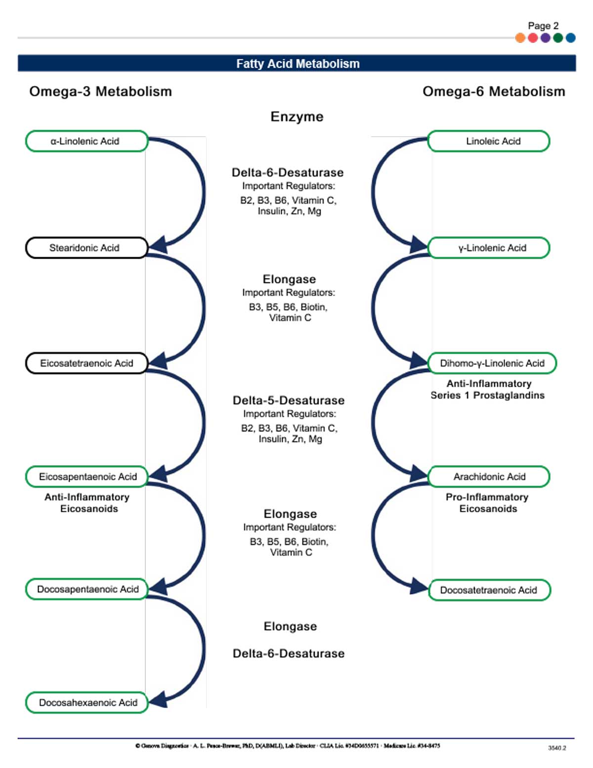Essential & Metabolic Fatty Acids Bloodspot